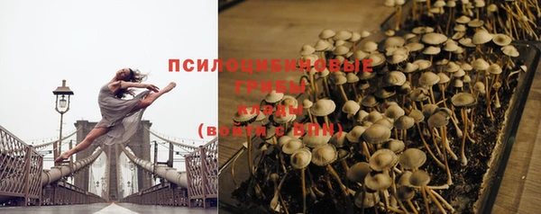 не бодяженный Абаза