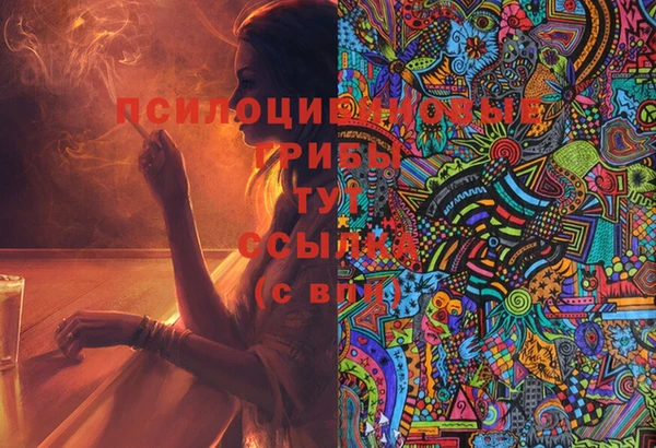 не бодяженный Абаза
